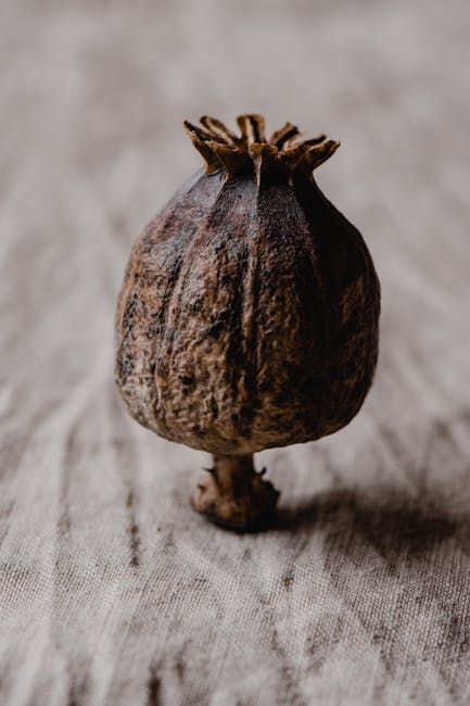 Marcio Caputo é o novo vice-presidente executivo da Logicalis no Brasil