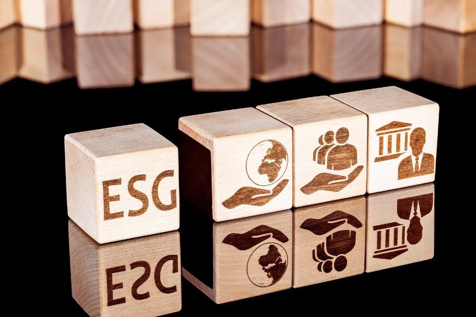 Imagem de: 7 cursos de ESG para quem deseja se aprofundar em sustentabilidade corporativa