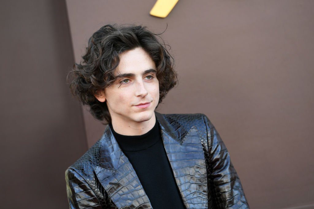 Imagem de: Concurso de sósias de Timothée Chalamet tem prisões e aparição especial do ator