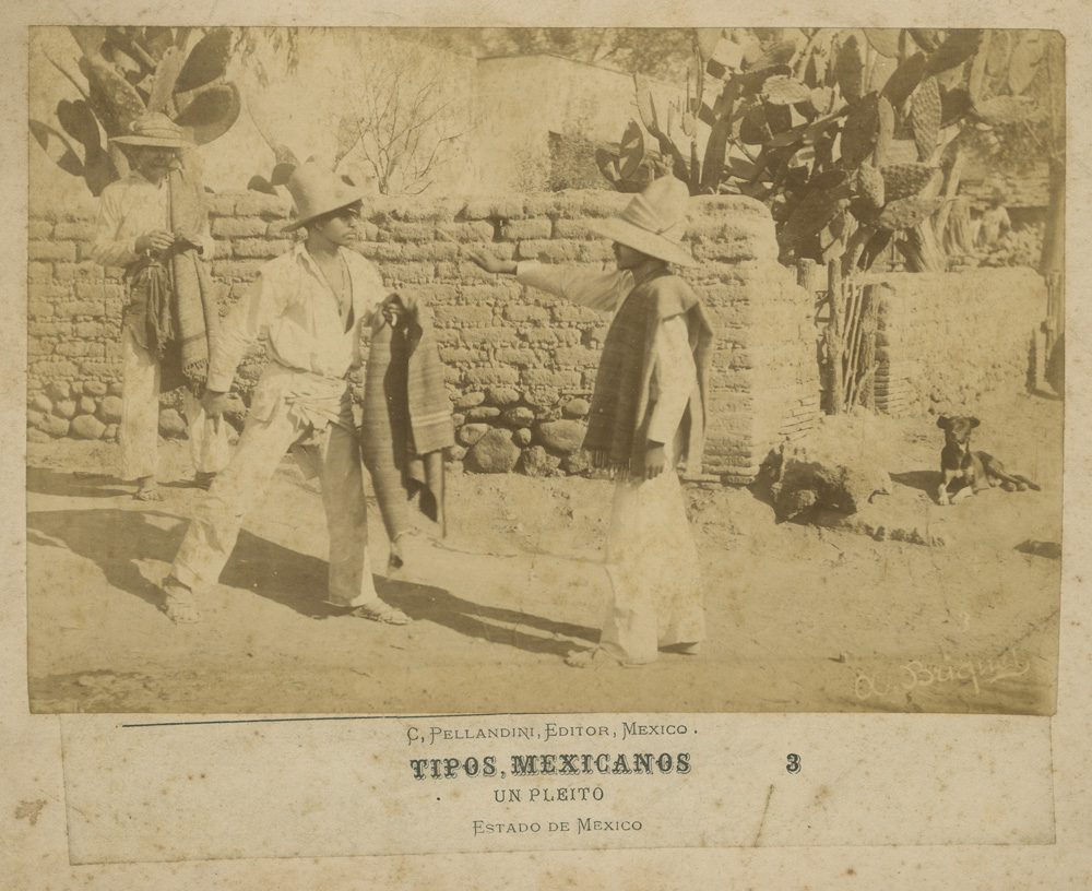 B20 reforça pleito de conectividade e lança recomendações para IA