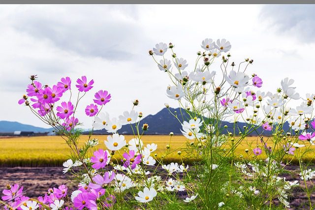 Após cair, inflação sobe em setembro puxada por energia elétrica