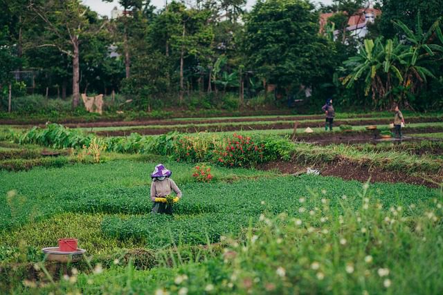 Conectividade Rural: A nova oportunidade para provedores de internet