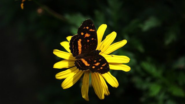 Setor de informação e comunicação cresce 2,2% em julho