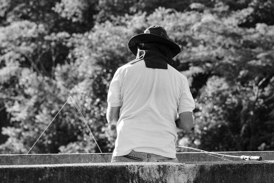 Claro e FAPESP financiarão Centro de Pesquisa em GenIA e 5G