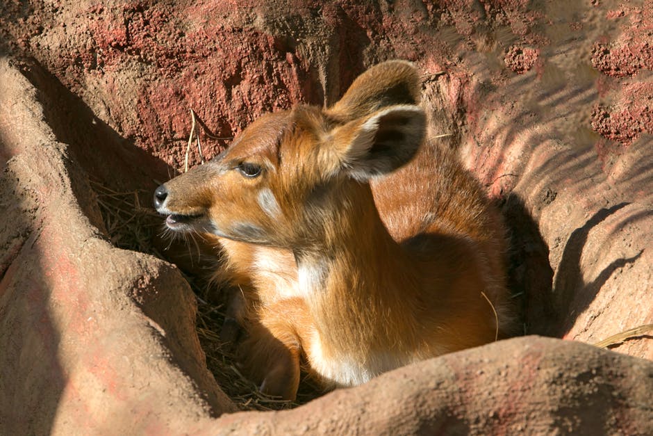 John Deere e Bradesco fazem aliança para oferecer financiamento