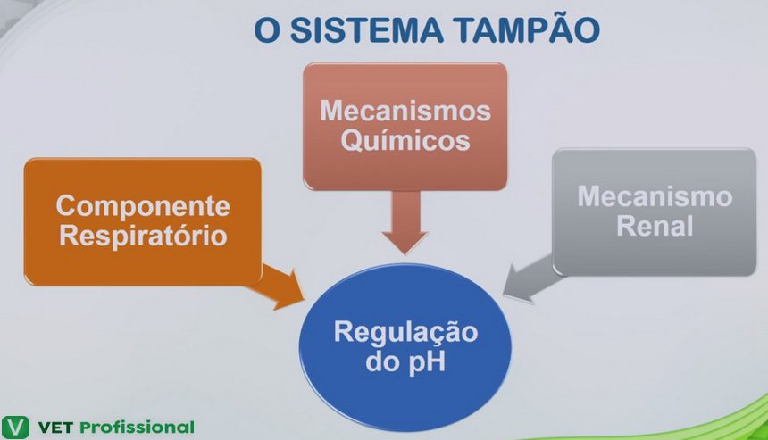 Como a regulação do sistema financeiro pode ser modelo para IA