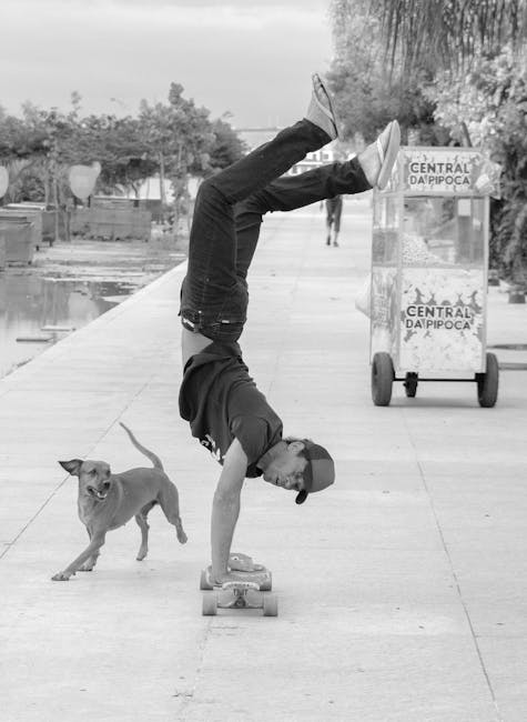 IA da Qlik garante da pipoca quentinha às compras governamentais