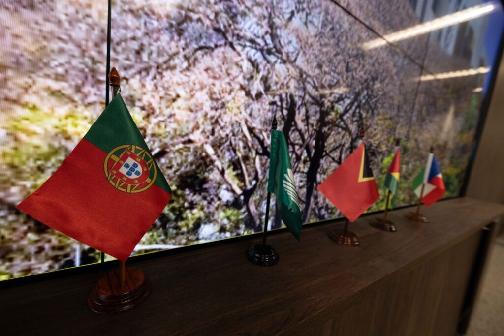 Ministério Público ingressa contra Anatel e Ancine por legenda em streaming