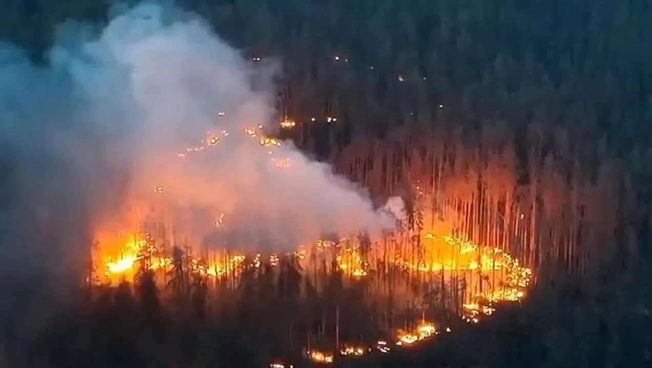Ação  drone dragão da Ucrânia