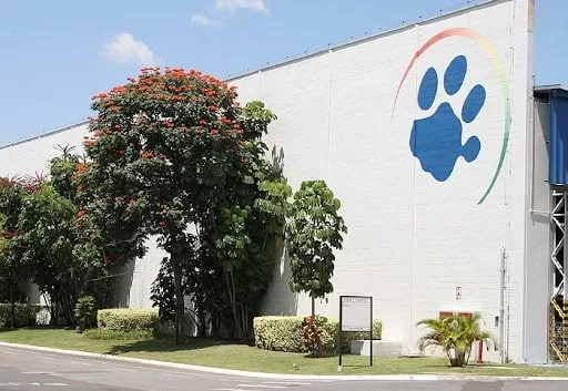 Tigre avança na estratégia de empresa orientada a dados