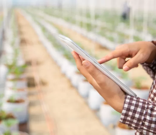 Banco Mundial e IICA vão destinar US$ 3 bilhões para conectividade no campo