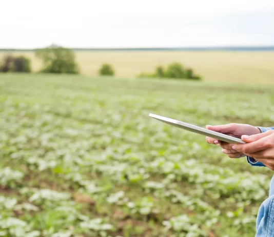 SC: programa de conectividade rural e em rodovias é aprovado