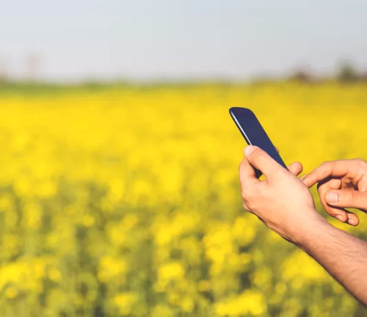 Algar e Usina Coruripe investem R$ 3,7 milhões em conectividade rural