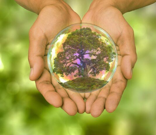 Anatel forma grupo de trabalho para executar selo de sustentabilidade