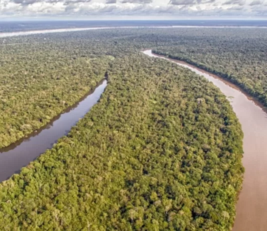 Para Ministério das Comunicações, Infovias da Amazônia começam a gerar demanda