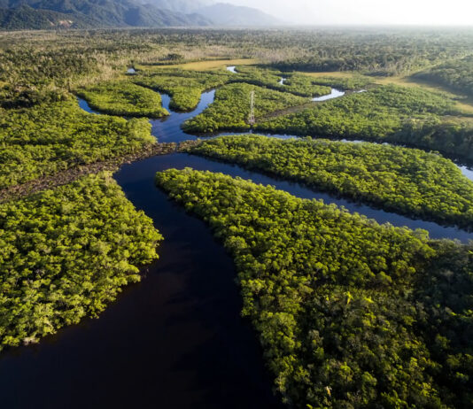 Norte Conectado: governo avalia novos trechos e chegada ao Tocantins